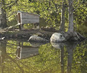 Petite ile au milieu du plan d'eau du hameau