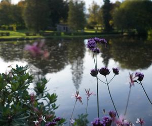 Étang du hameau avec des fleurs au premier plan.